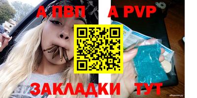 стаф Канаш
