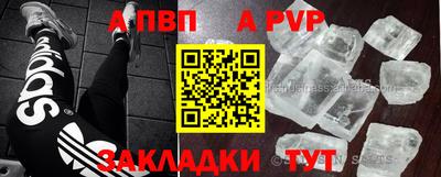 стаф Канаш
