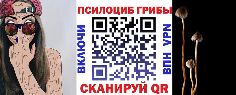 Галлюциногенные грибы ЛСД  Малоярославец 