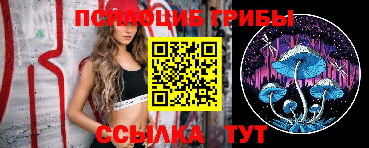 Псилоцибиновые грибы прущие грибы  Псилоцибиновые грибы MAGIC MUSHROOMS  Малоярославец 