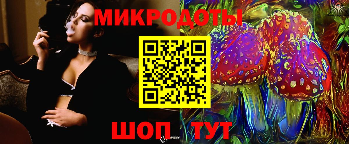Псилоцибиновые грибы Psilocybine cubensis Малоярославец