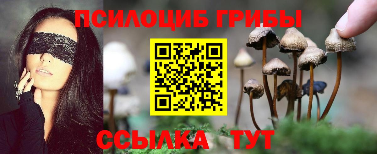 Псилоцибиновые грибы Cubensis  Вход с VPN  как найти   Галлюциногенные грибы Psilocybine cubensis  Малоярославец 