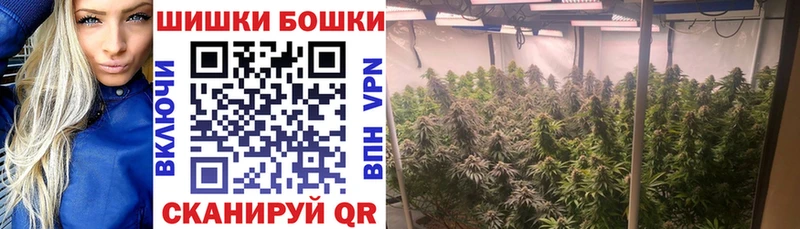 Конопля Amnesia Малоярославец